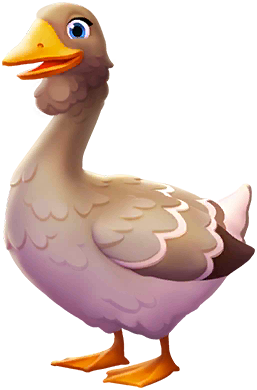 Toulouse Goose image