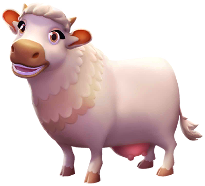 Charolais Cow image