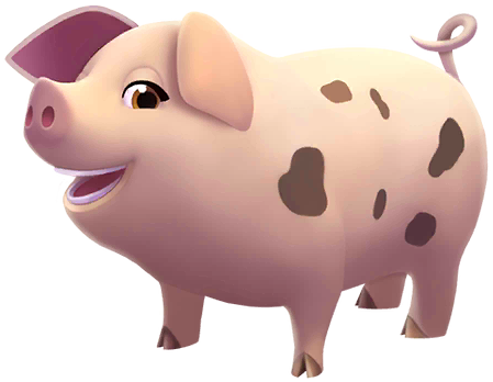 Gloucester Pig image