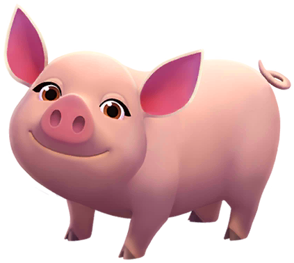 Yorkshire Pig image