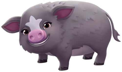 Kunekune Pig image