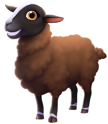Zwartbles Sheep image