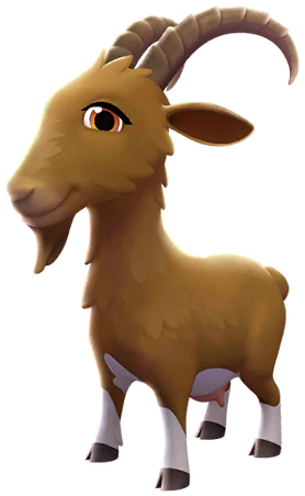 Nubian Goat image