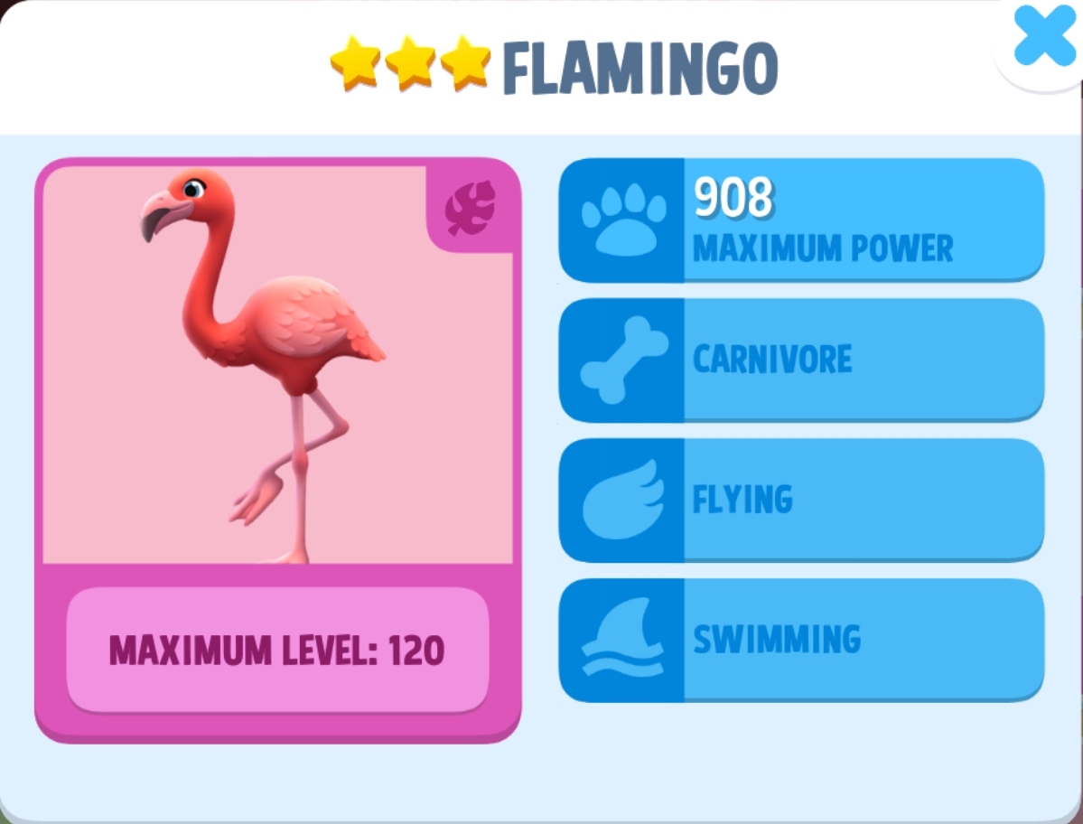 Flamingo Info