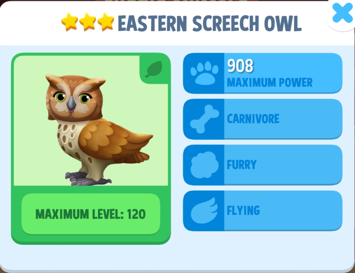 Eastern Screech Owl Info