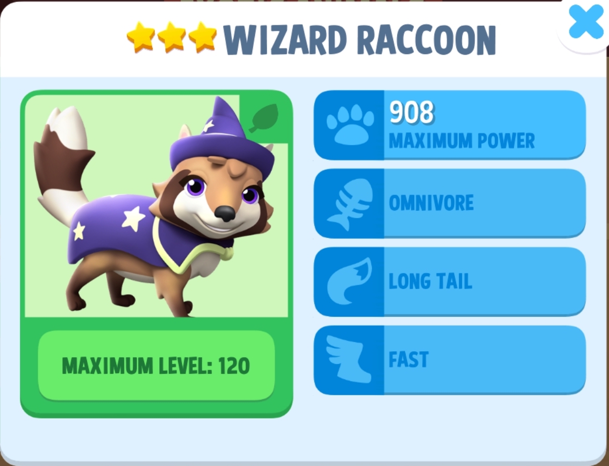 Wizard Raccoon Info