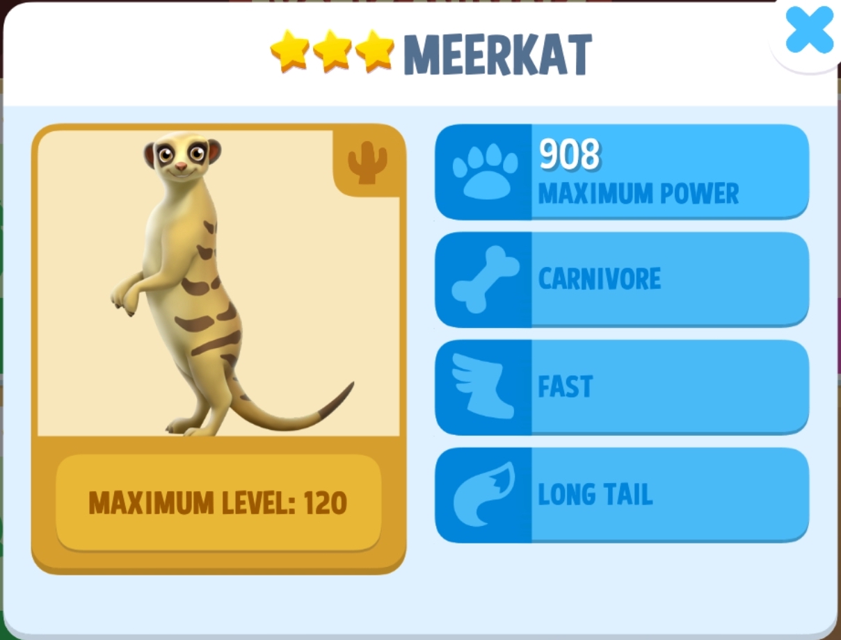 Meerkat Info