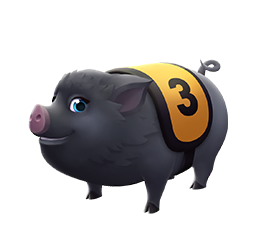 Pig 5