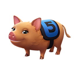 Pig 6