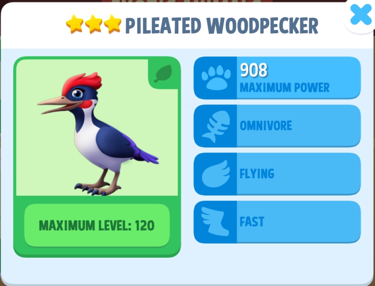Pileated Woodpecker Info