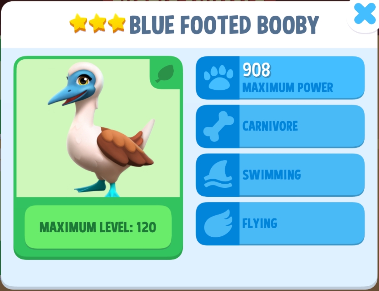 Blue Footed Booby Info