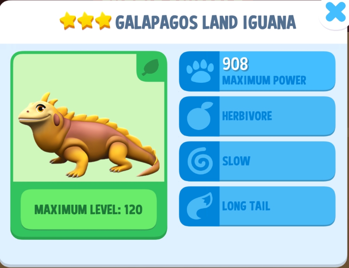 Galapagos Land Iguana Info