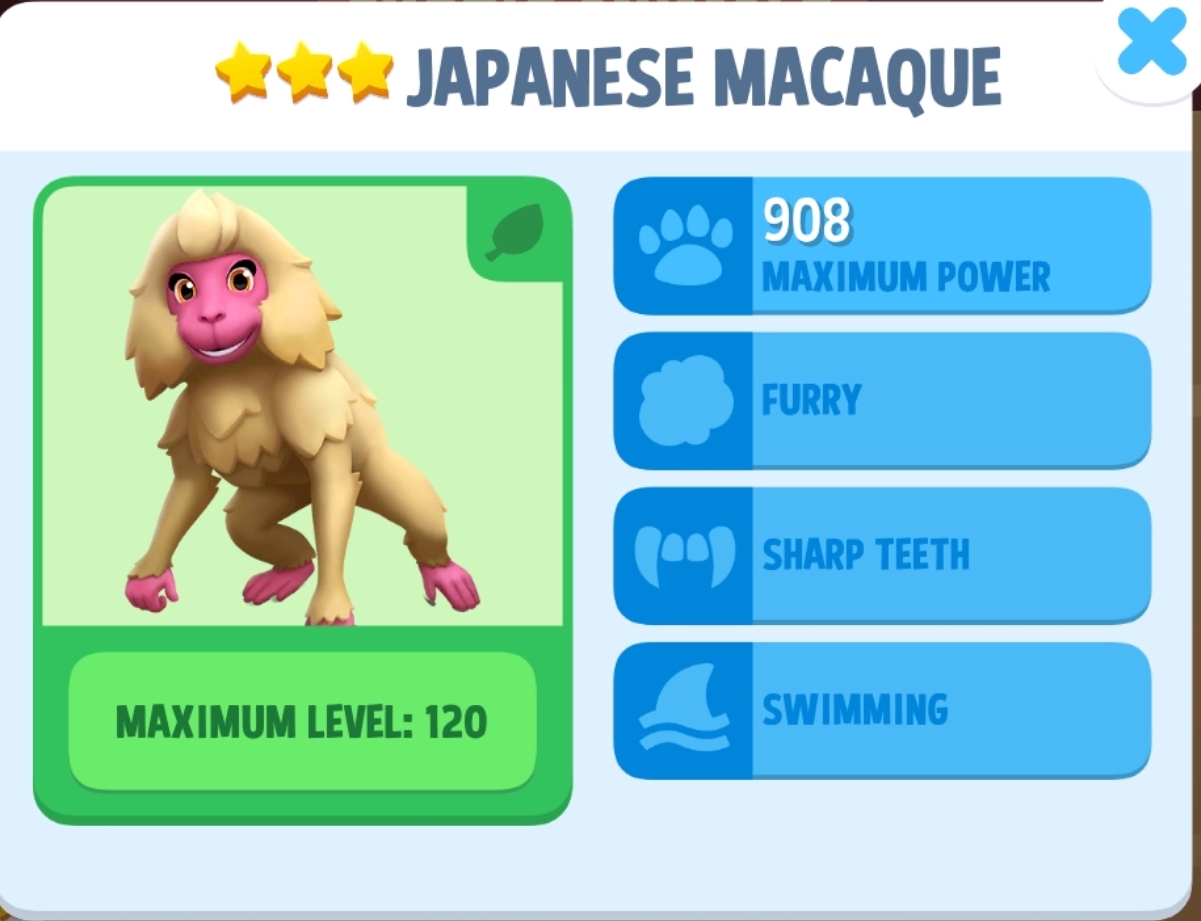 Japanese Macaque Info