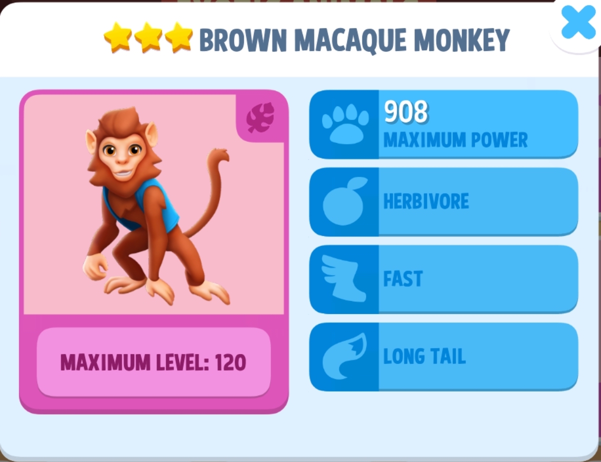 Brown Macaque Monkey Info