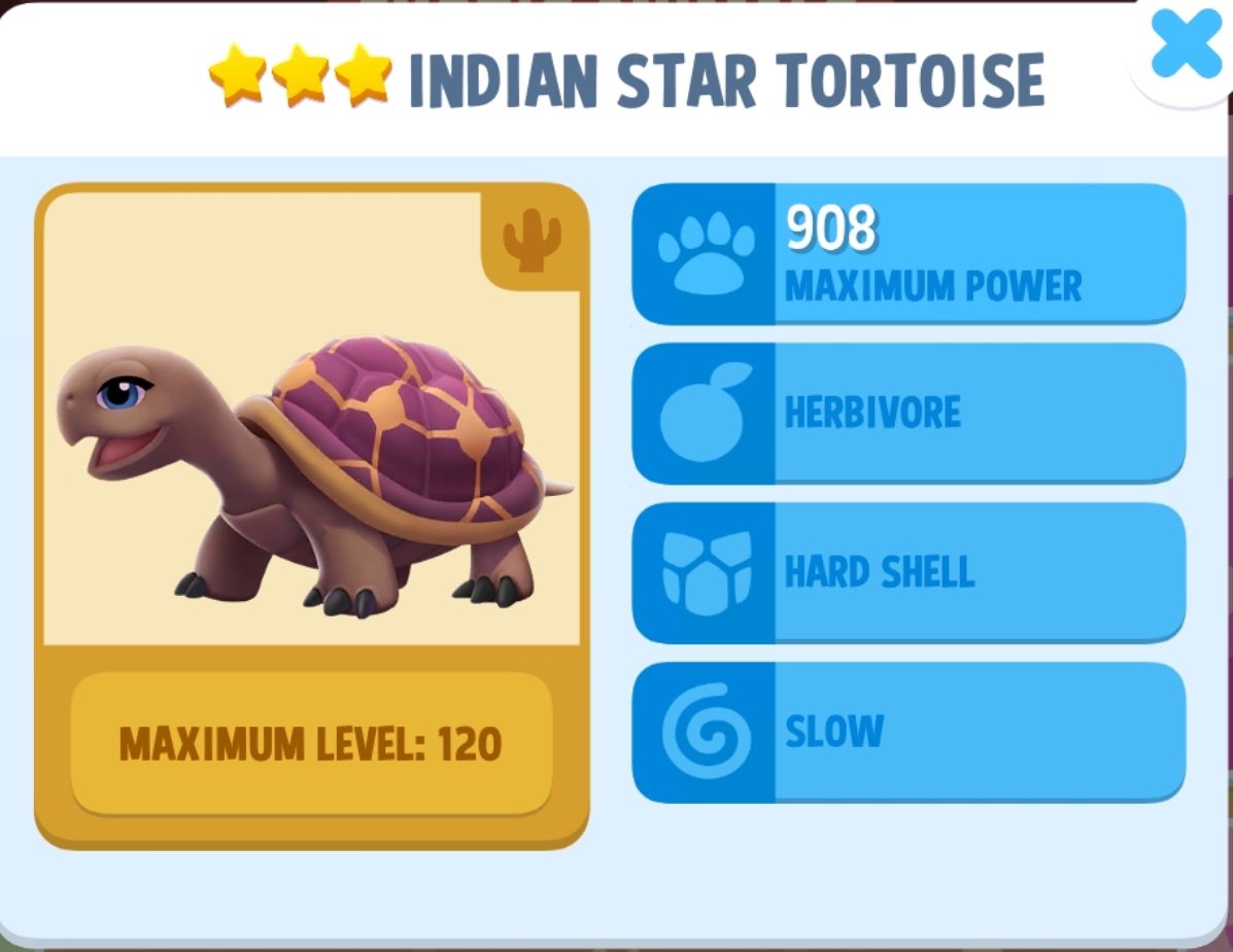 Indian Star Tortoise Info