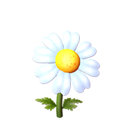 Chamomile