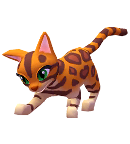 Bengal Cat