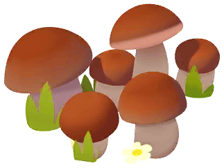 Mushroom Grove