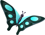 Blue Triangle Butterfly