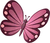 Pink Monarch Butterfly