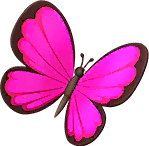 Pink Morpho Butterfly