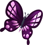 Violet Rose Butterfly