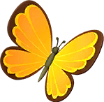 Yellow Morpho Butterfly