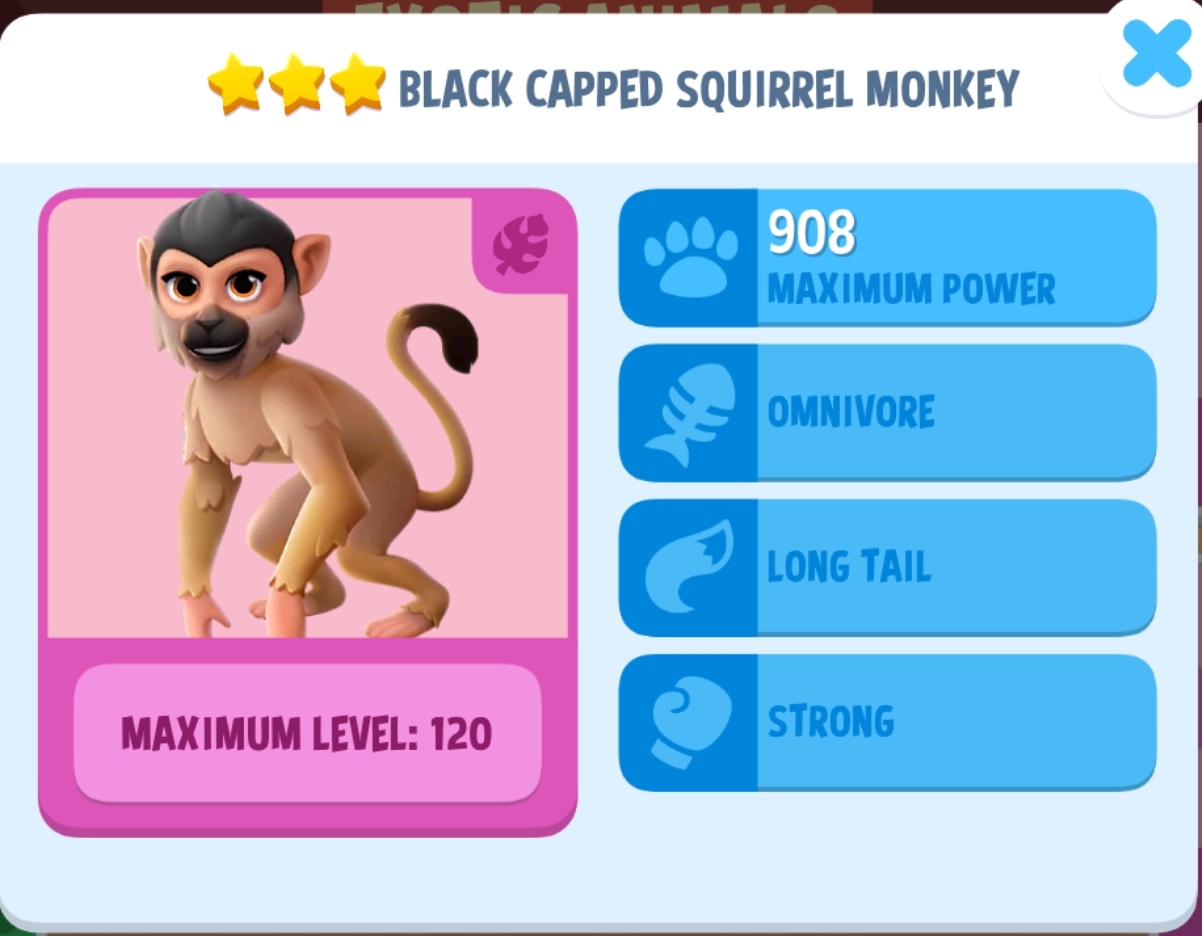 Black Capped Squirrel Monkey Info