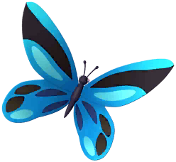 Blue Birdwing Butterfly