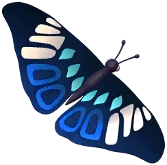 Blue Cracker Butterfly