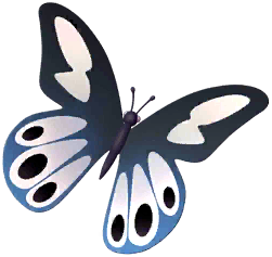 Blue Mormon Butterfly