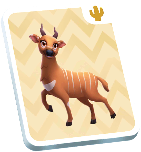 Bongo Card