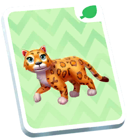Jaguar Card