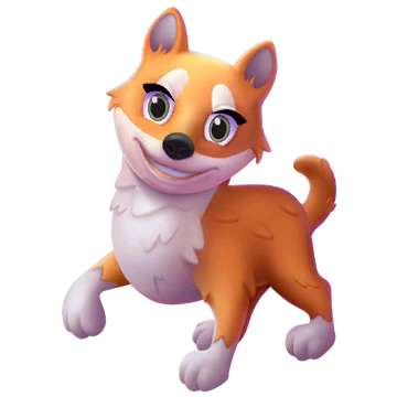 Shiba Inu