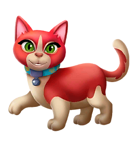 Munchkin Cat