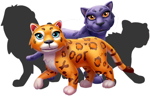 Big Cats