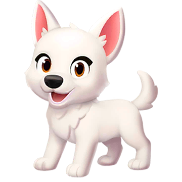 Samoyed Dog