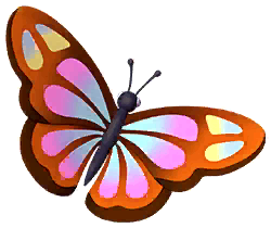 Brown Forester Butterfly