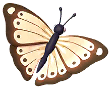 Common Glider Butterfly