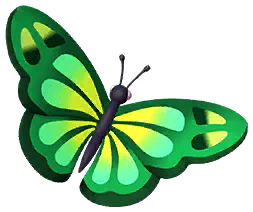 Green Forester Butterfly