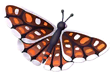 Orange Checkerspot Butterfly