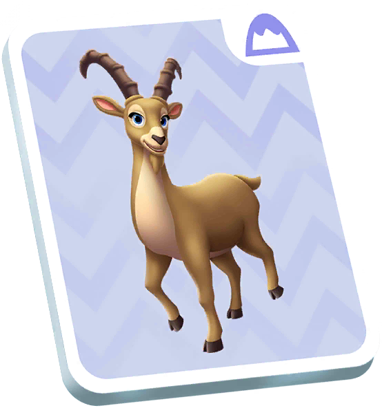 Ibex Card