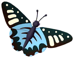 Blue Clipper Butterfly