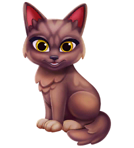 Chantilly Tiffany Cat