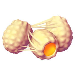 Cocoon