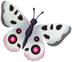 Clouded Apollo