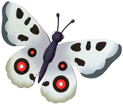 Common Apollo