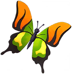 Green Kaiser