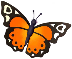 Orange Lacewing