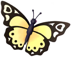 Pale Lacewing